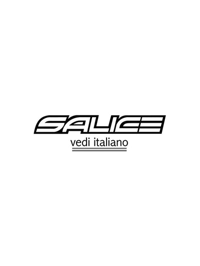 Salice Ski Goggle available from winternational.co.uk
